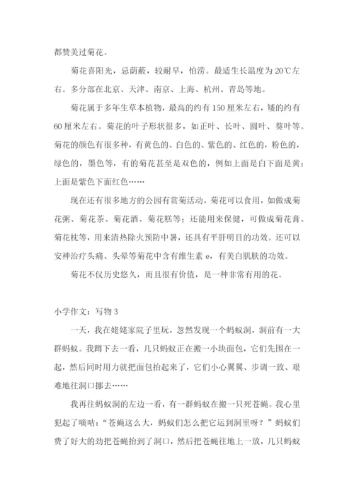 小学作文：写物.docx