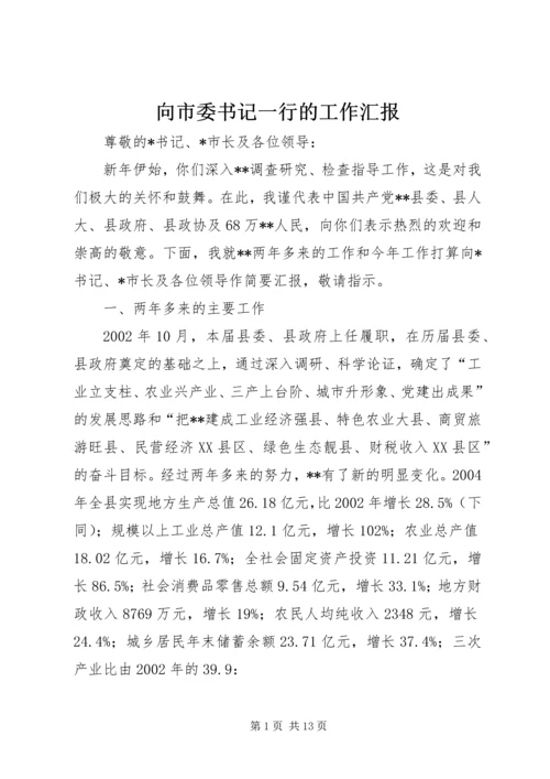 向市委书记一行的工作汇报 (5).docx