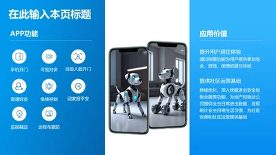 产品介绍-蓝色简约风2项