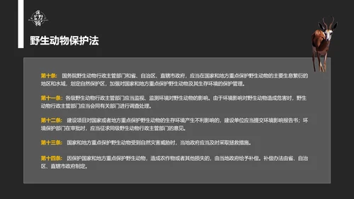 保护野生动物老虎PPT模板
