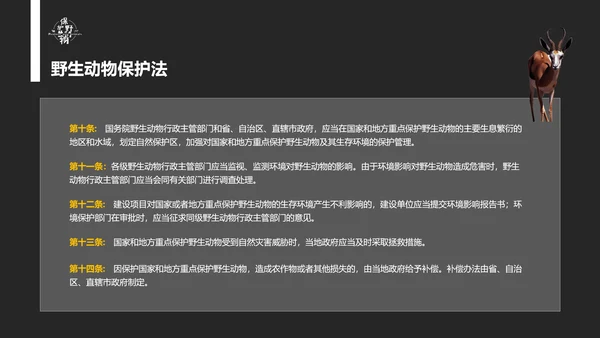保护野生动物老虎PPT模板