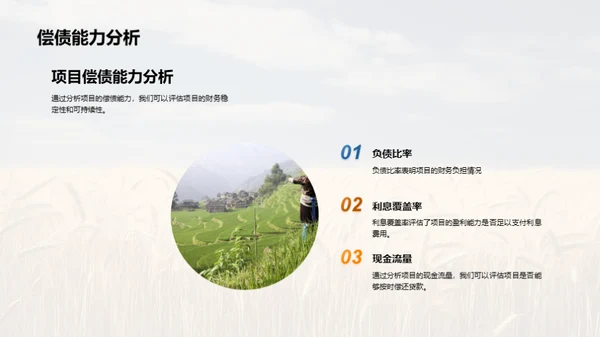 农业项目投资策略
