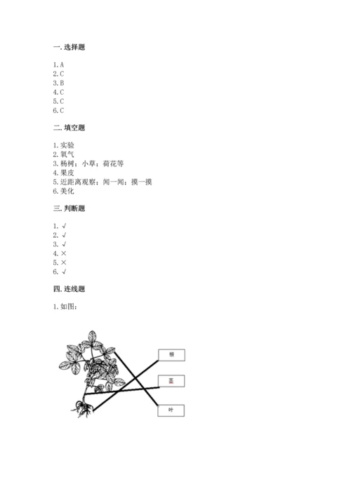 教科版科学一年级上册第一单元《植物》测试卷附答案（b卷）.docx