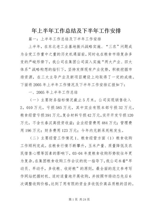 年上半年工作总结及下半年工作安排.docx