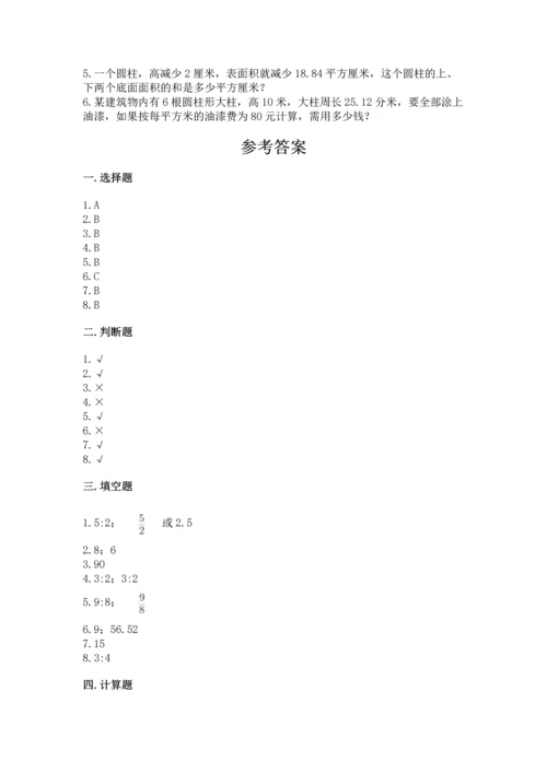 人教版六年级下册数学期末测试卷精品【典优】.docx