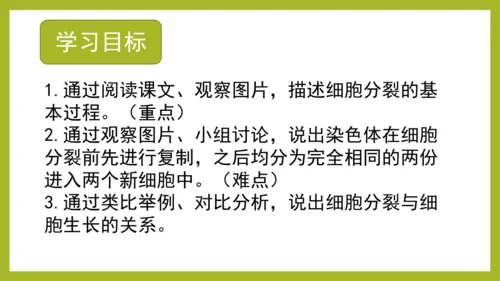 2.2.1细胞通过分裂产生新细胞课件2023--2024学年人教版生物七年级上册(共28张PPT)