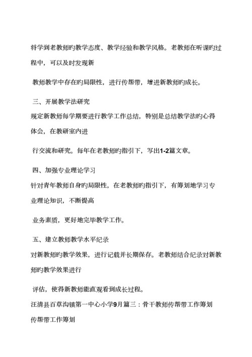 教师传帮带实施专题方案.docx