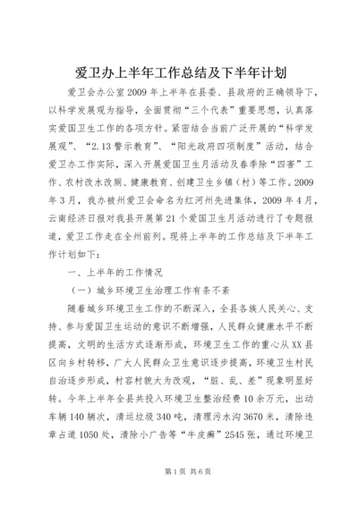 爱卫办上半年工作总结及下半年计划.docx