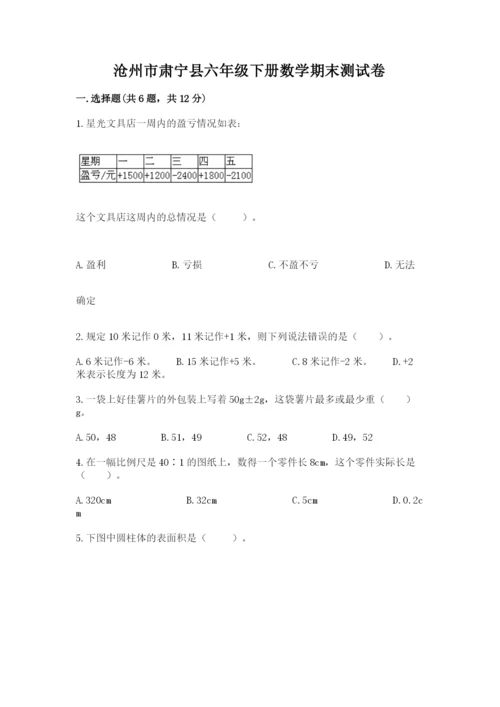 沧州市肃宁县六年级下册数学期末测试卷完美版.docx