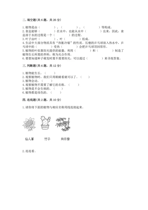 教科版科学一年级上册第一单元《植物》测试卷精品【易错题】.docx