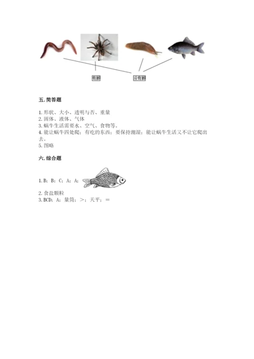教科版一年级下册科学期末测试卷含完整答案【网校专用】.docx