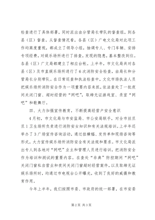 娱乐场所安全整顿自查报告.docx