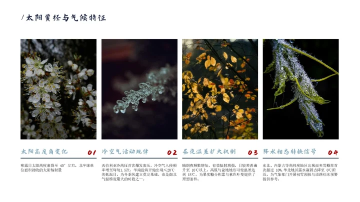 瓷青色简约风寒露节气PPT模版