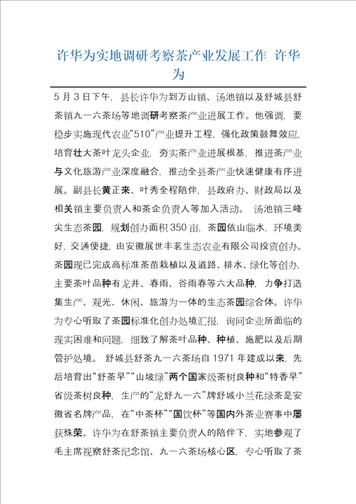 许华为实地调研考察茶产业发展工作许华为