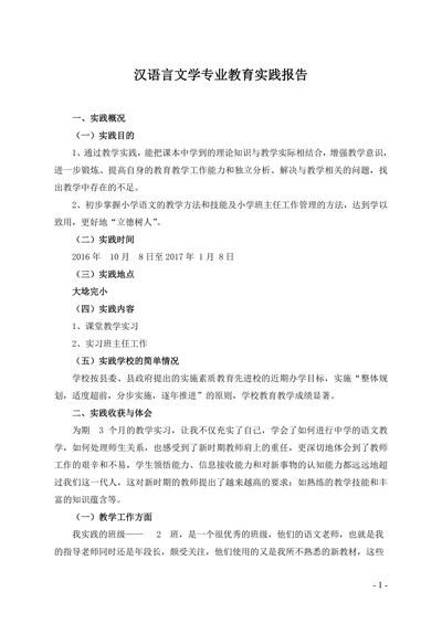 汉语言文学专业教育实践报告