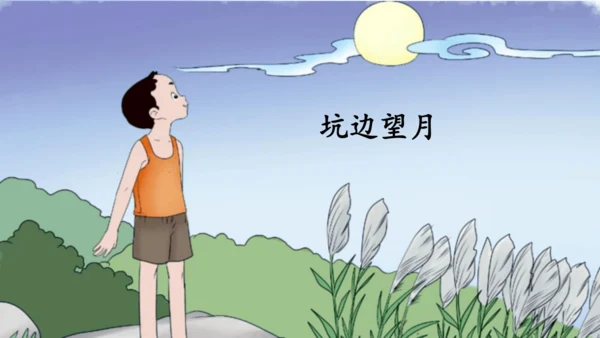 3.月是故乡明   课件