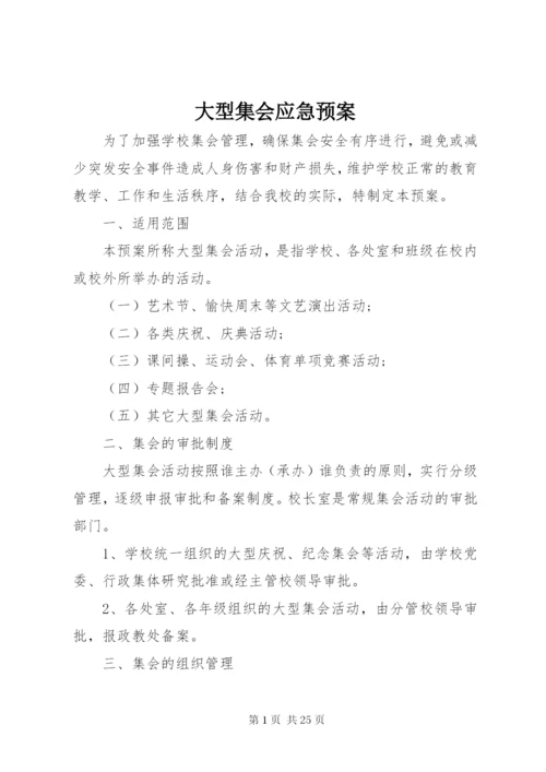 大型集会应急预案.docx