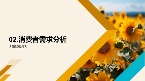 大暑节气营销策略