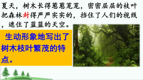 20.美丽的小兴安岭   课件