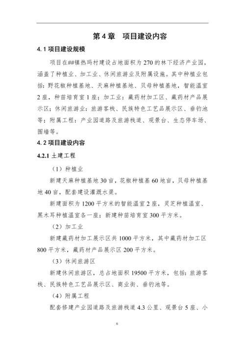 林下经济产业园建设项目初步方案.docx