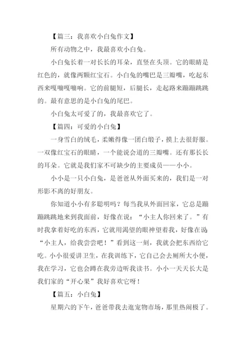 小白兔作文150字.docx