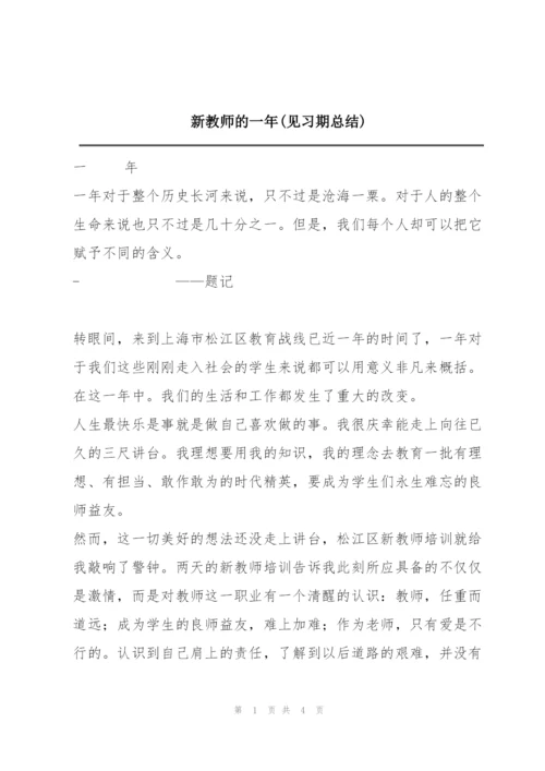 新教师的一年(见习期总结).docx