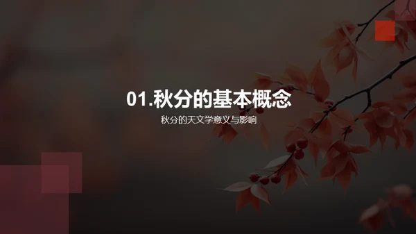 秋分习俗的历史与现代