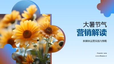 大暑节气营销解读