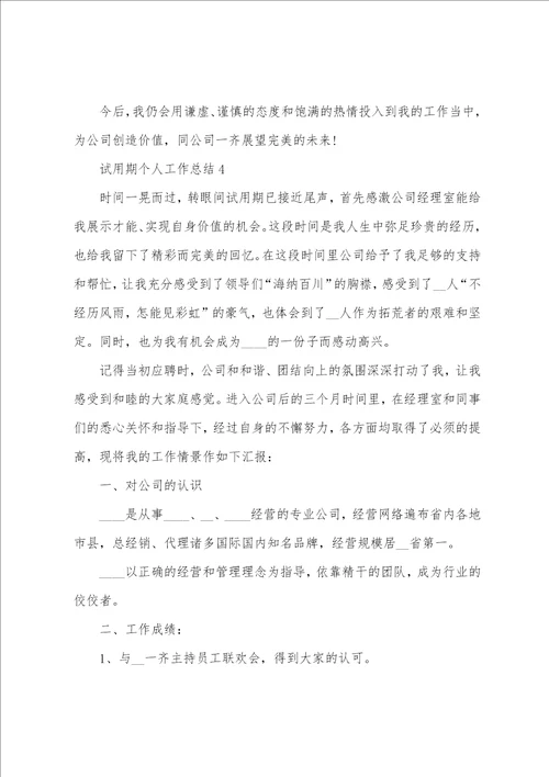 试用期个人工作总结300字