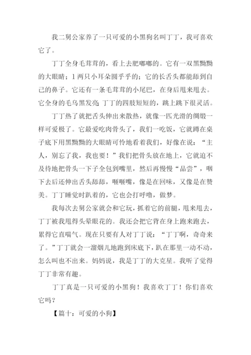 关于小狗的作文500字.docx