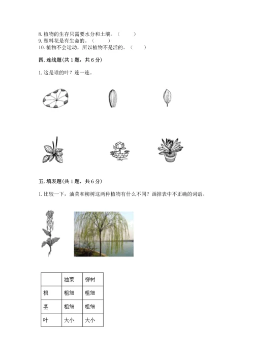 教科版一年级上册科学期末测试卷（a卷）.docx