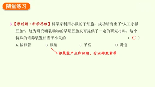 4.1.1人的生殖-七年级生物下学期同步精品课件（2024人教版）(共24张PPT)