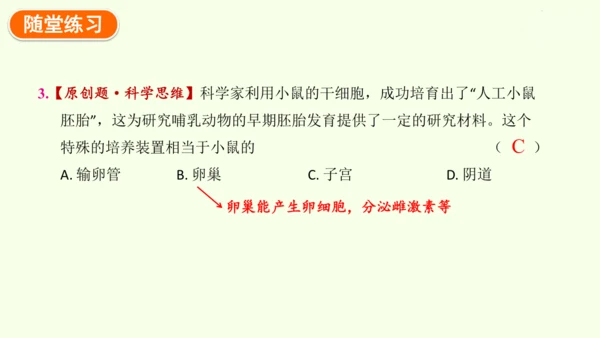 4.1.1人的生殖-七年级生物下学期同步精品课件（2024人教版）(共24张PPT)