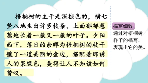 -统编版2024-2025学年三年级语文上册同步精品习作：我们眼中的缤纷世界 课件