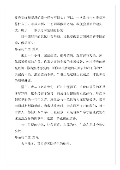 那朵花作文精彩9篇