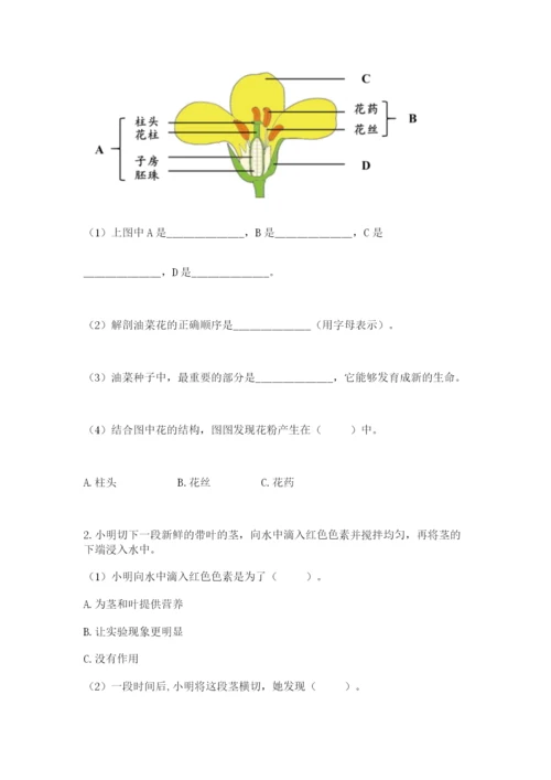 科学四年级下册第一单元植物的生长变化测试卷附完整答案【名师系列】.docx