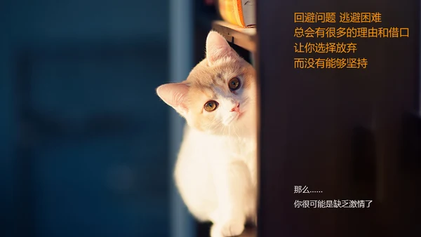 激情去哪了员工在职培训通用PPT课件