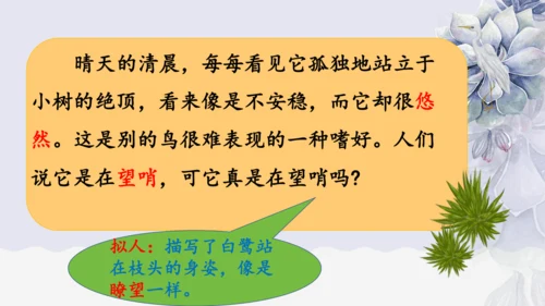 《1 白鹭》课件
