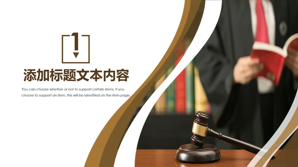 法律律师事务所法制法学工作报告PPT模板