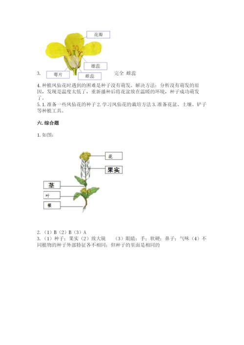 科学四年级下册第一单元植物的生长变化测试卷完整.docx