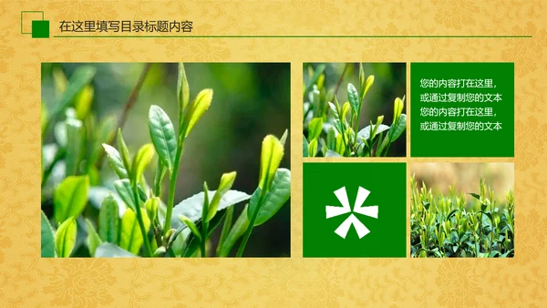 中国茶文化茶道展示茶知识PPT模板