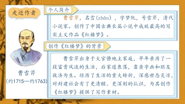 【核心素养】部编版语文五年级下册-8.红楼春趣（课件）