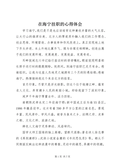 在海宁挂职的心得体会.docx