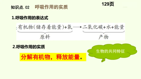 3.2.3呼吸作用-七年级生物下学期同步精品课件（2024人教版）(共24张PPT)