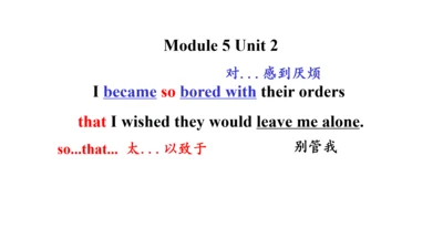 外研九上Module 4 Home alone Unit 2课件