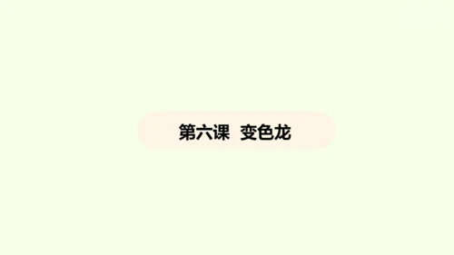 第6课 变色龙 课件(共38张PPT)-【课堂无忧】新课标同步核心素养课堂