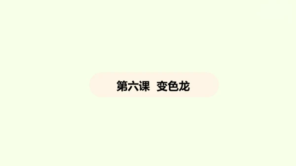 第6课 变色龙 课件(共38张PPT)-【课堂无忧】新课标同步核心素养课堂
