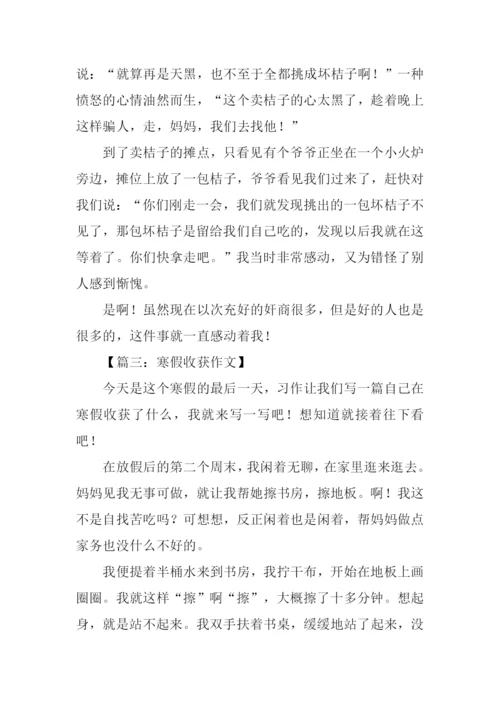 关于寒假的作文300字.docx
