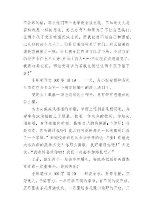 小练笔作文100字.docx