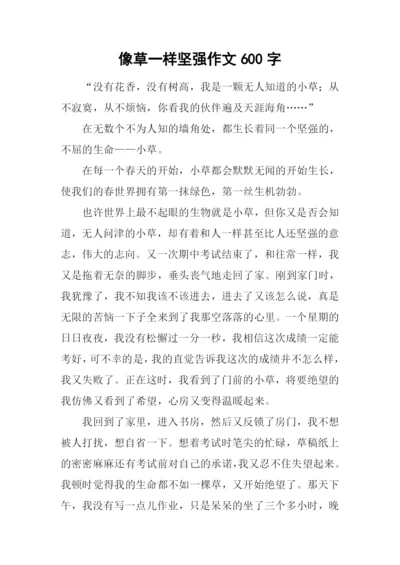 像草一样坚强作文600字.docx